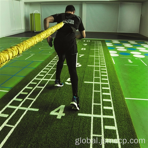 20mm Top Quality Gym Artificial Grass Carpet